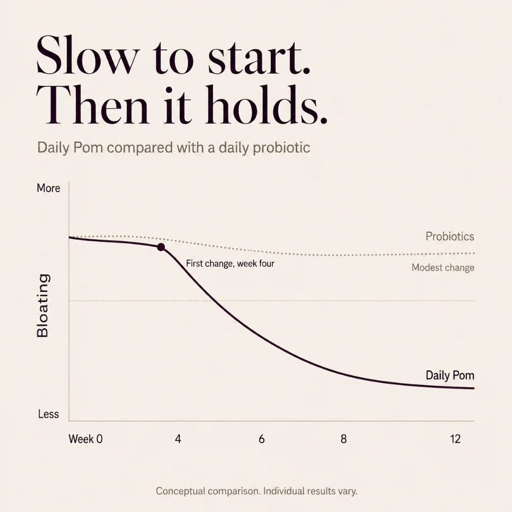 Slow to start, then it holds